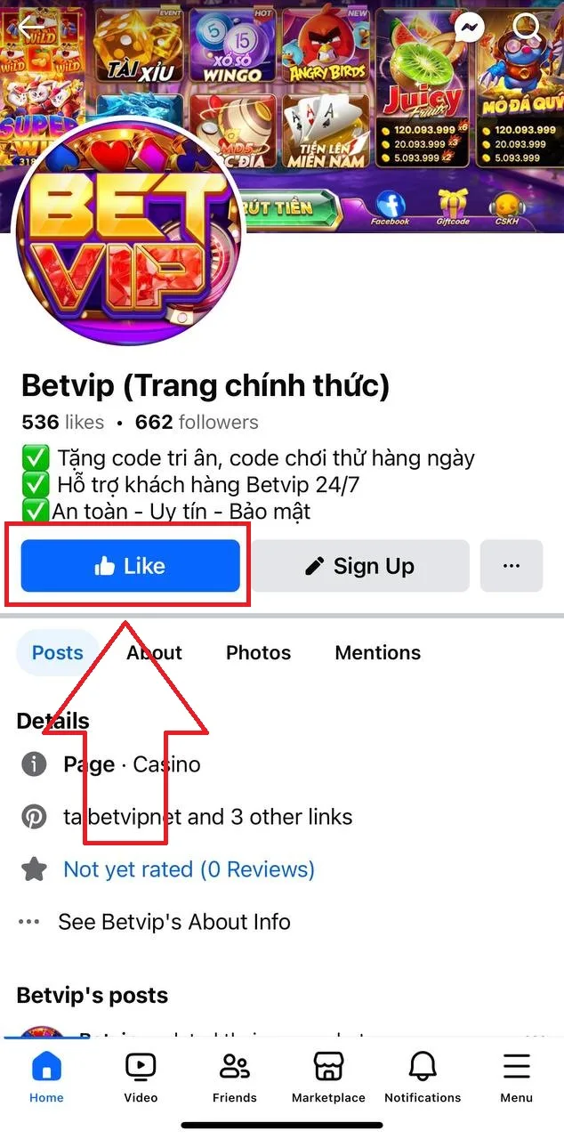 betvip fanpage like